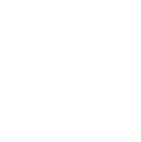 Vgan